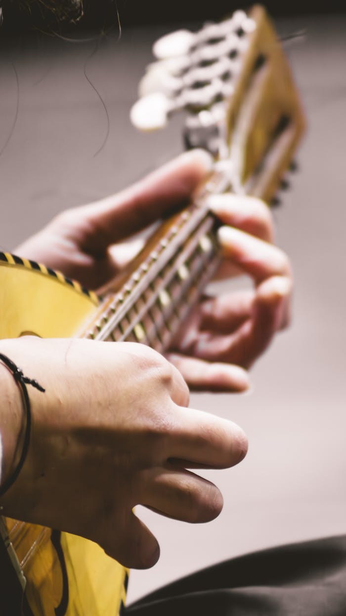 gallery-3 Detailed close-up of hands skillfully playing a mandolin, emphasizing musical artistry.