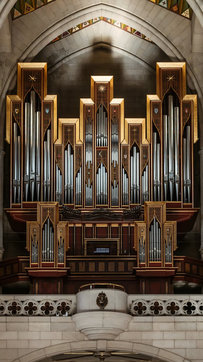 gallery-5 Detailed view of a grand pipe organ inside a historic cathedral.